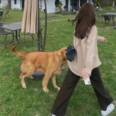 狂宴