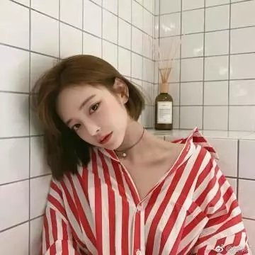 朽木 第二季